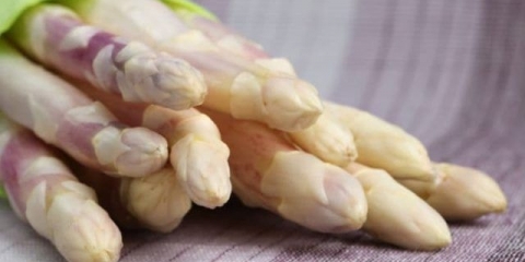 Argentinske šparoge: uzgoj iz sjemena, recenzije